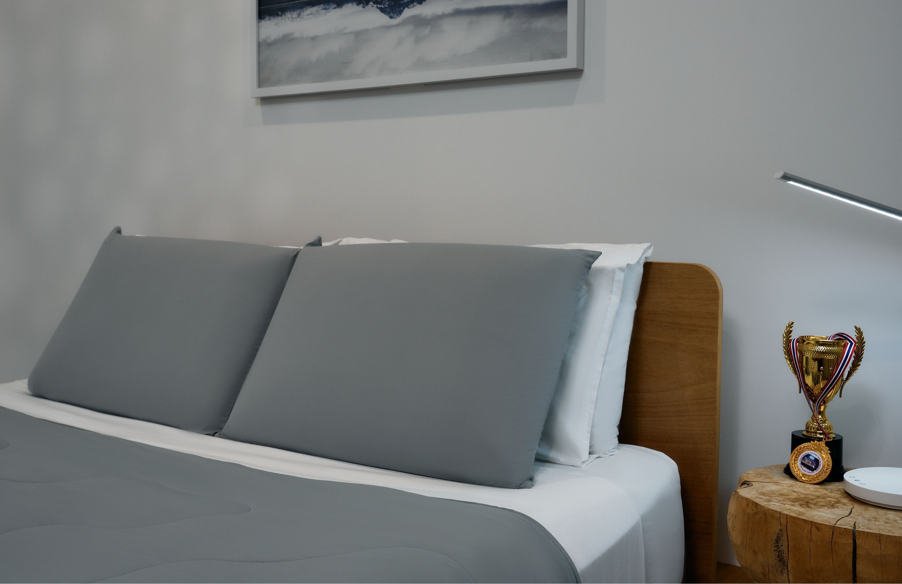 The Cloud Pillow Covers (2 Pack)